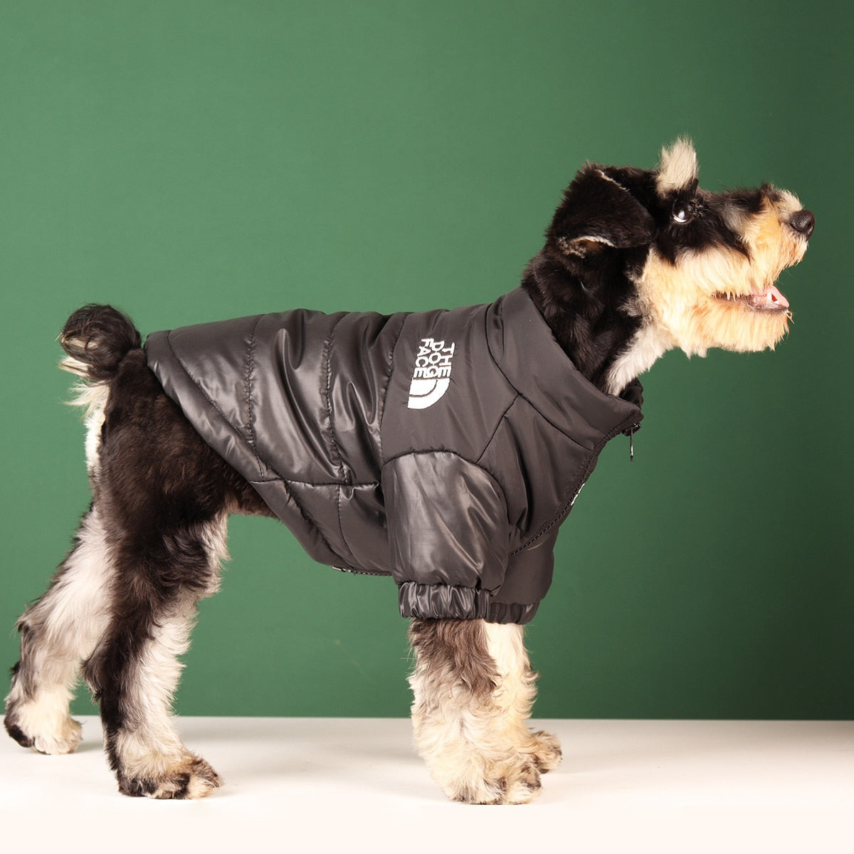 Dog Jackets TNF
