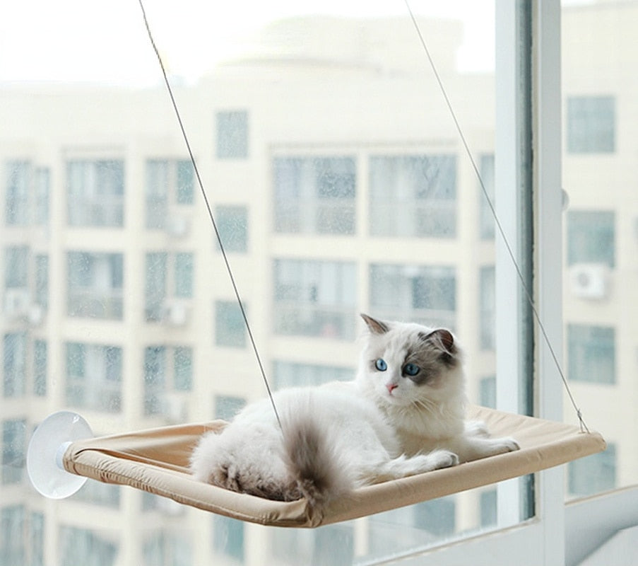 Hanging Cat Bed Shelf