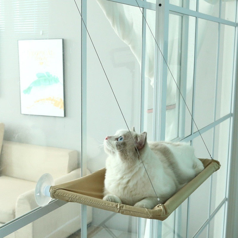 Hanging Cat Bed Shelf
