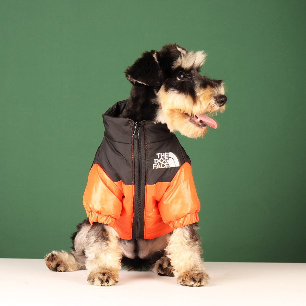 Dog Jackets TNF