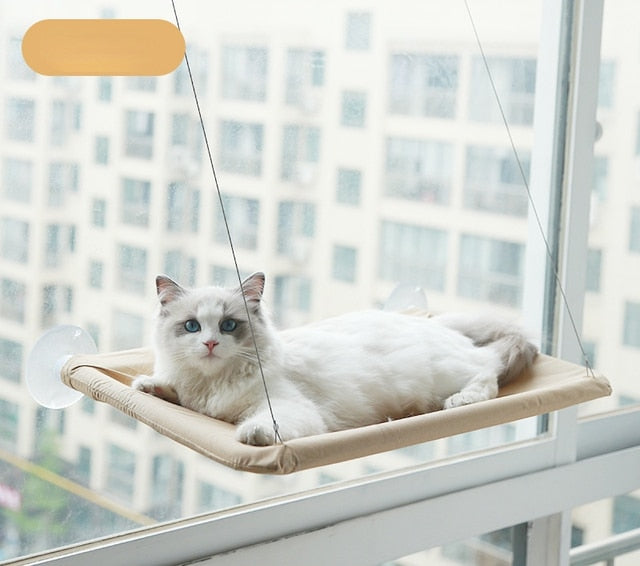 Hanging Cat Bed Shelf