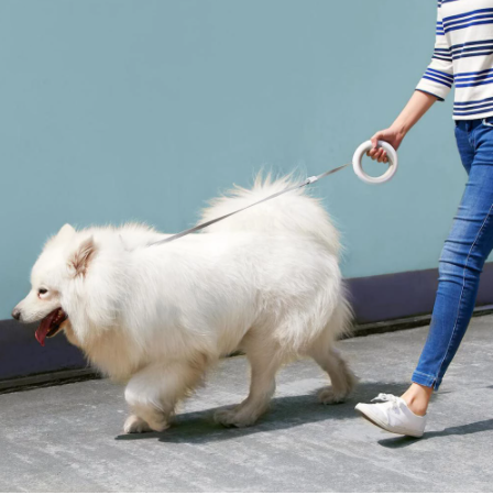 Smart Lead 2.6 m Retractable Pet Leash