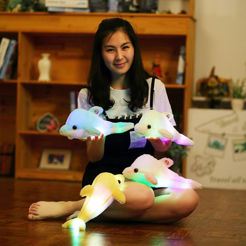 Luminous Moon / Star Pillow